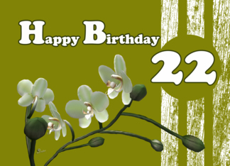 Happy 22nd Birthday,...