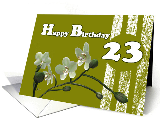 Happy 23rd Birthday, White orchids on green card (991763)
