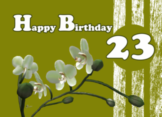 Happy 23rd Birthday,...