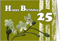 Happy 25th Birthday, White orchids on green card