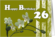 Happy 26th Birthday, White orchids on green card