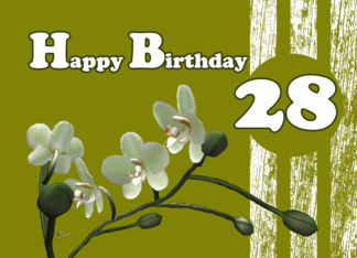 Happy 28th Birthday,...