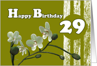 Happy 29th Birthday, White orchids on green card