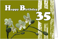 Happy 35th Birthday, White orchids on green card