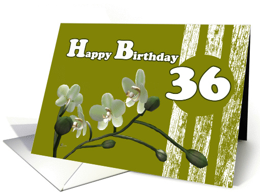 Happy 36th Birthday, White orchids on green card (991789)