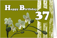 Happy 37th Birthday,...
