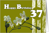 Happy 37th Birthday, White orchids on green card