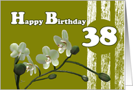 Happy 38th Birthday, White orchids on green card