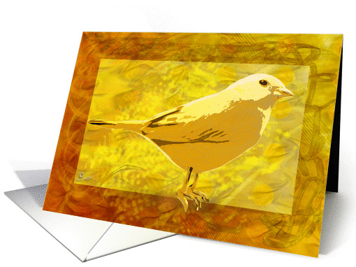 Yellow Bird canary looking up bright yellow blank card (992205)