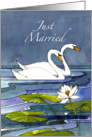 Midnight Swans Just Married - Mr & Mrs card