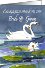 Congratulations to the Bride & Groom Midnight Swans card