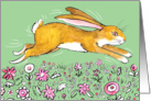 Hoppy Easter Spring Bunny card