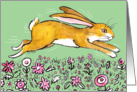 Hoppy Easter - Spring Bunny card