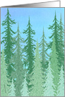 Pine Tree Forest card
