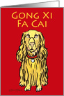 Gong Xi Fa Cai, Year of the Dog, Chinese New Year, Mandarin card