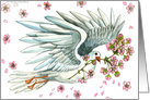 Confirmation Spring Dove card