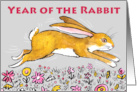 Year of the Rabbit Golden Bunny From Far away card