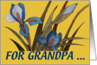 Grandparents Day Iris - Grandpa card