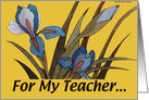 Teacher Iris card