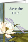 Dragonfly Pond, Save the Date card