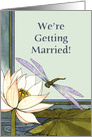 Wedding Announcement, Dragonfly Pond card