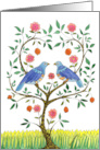 Engagement Congrats Blue Doves card