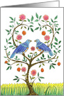 Wedding Anniversary Blue Doves card