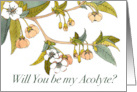 Will You Be My Acolyte with Cherry Blossom Branch card