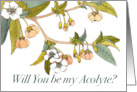 Will You Be My Acolyte with Cherry Blossom Branch card