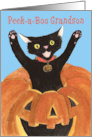 Halloween Grandson, Jack O’Lantern Cat card