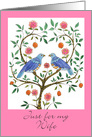Valentine for Wife Blue Doves card