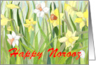Daffodil Fields Norooz card