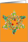 Tu B’Shvat Pomegranate Star of David card