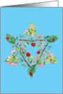 Passover Star of David with Flowers and Fruit card