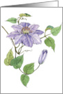 Thank You Clematis card