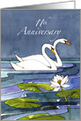 11th Wedding Anniversary Swans card