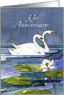33rd Wedding Anniversary Swans card