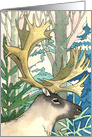 Caribou Woods - Christmas card