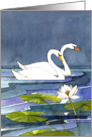 Anniversary Midnight Swans card