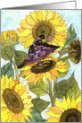 Sunflower Crows - note card