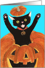 Halloween Jack O’ Lantern Cat card