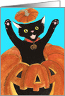 Invitation - Halloween Jack O’ Lantern Cat card