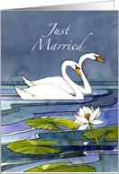 Midnight Swans Just Married - Mrs. & Mrs. card