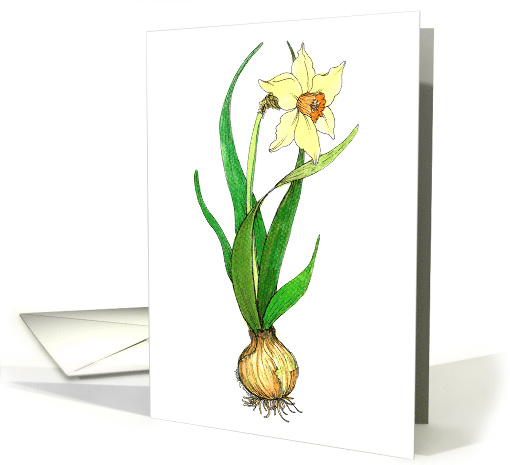Easter Botanical Daffodil with Bulb card (137573)