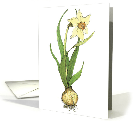 Birthday Daffodil card (137657)
