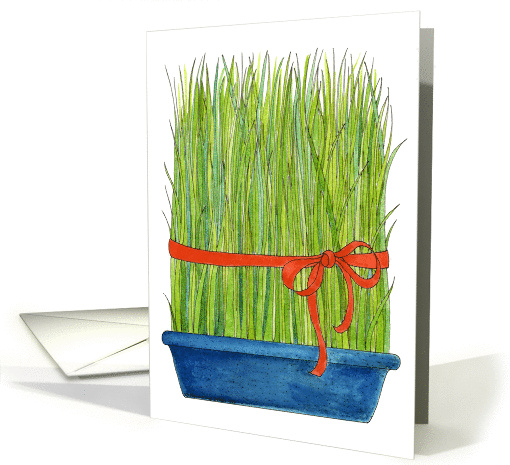 Wheat Grass - note card (139455)