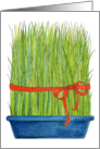 Wheat Grass - note card