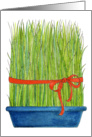 Wheat Grass - Earth Day card