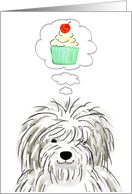 Old English Sheepdog Birthday card