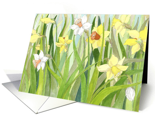 Daffodil Fields - Spring card (152369)